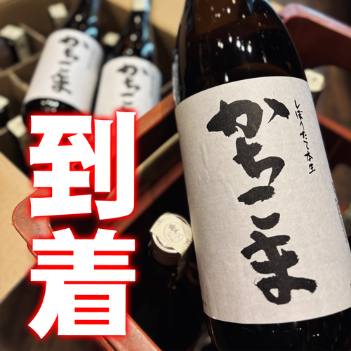 1円~【2本セット】勝駒 しぼりたて本生 1800ml[2022年1月 1円~【2本セット】勝駒 しぼりたて本生 1800ml[2022年1月